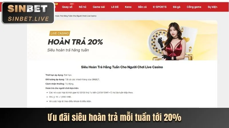 Tổng quan nền tảng 5vip Casino